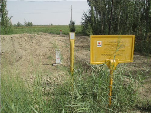 x ȣ҇(gu)O(sh)ܵͨ^(qun)ķ߉݋cƶ·