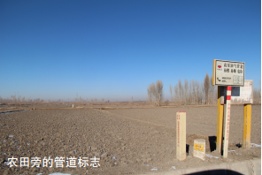 ܵo(h)݋ؙ͚ܵ(qun)Ό(sh)F(xin)(yu)