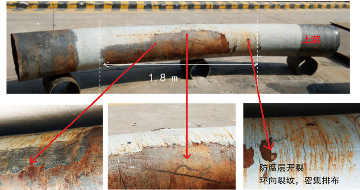 I(y)@^(q)(ni)Ȼܵ׃ΰ