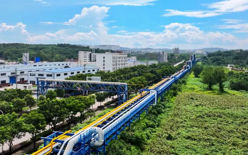 (gu)(ni)c(din)ߵL(zhng)ݔԭ͹ܵκG¾һͶa(chn)ɹ