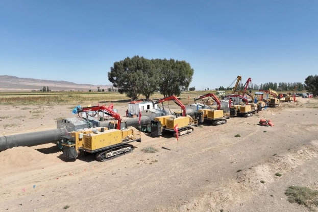 |ݔľȻ̵ܵĘ(bio)wʩ