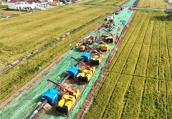 BxܵB_45캸ӳ20  A(y)Ӌ2025ϰꌍF(xin)wܵȫ؞ͨ