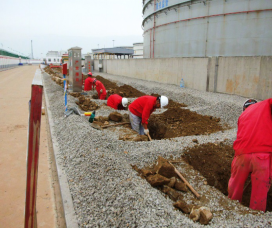 P(gun)͚ܵgcoyc}̽ӑ